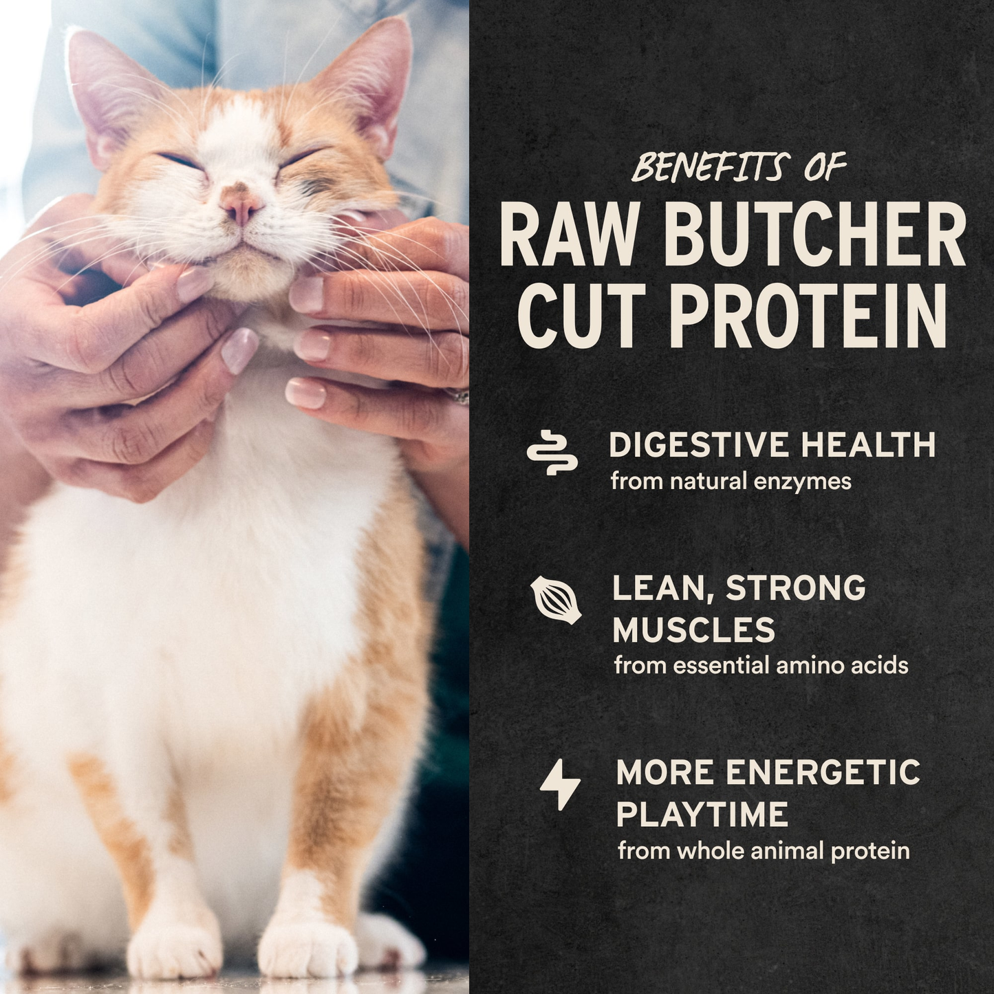 Chicken Breast Cat Treats Benefits of Raw Butcher Cut Protein