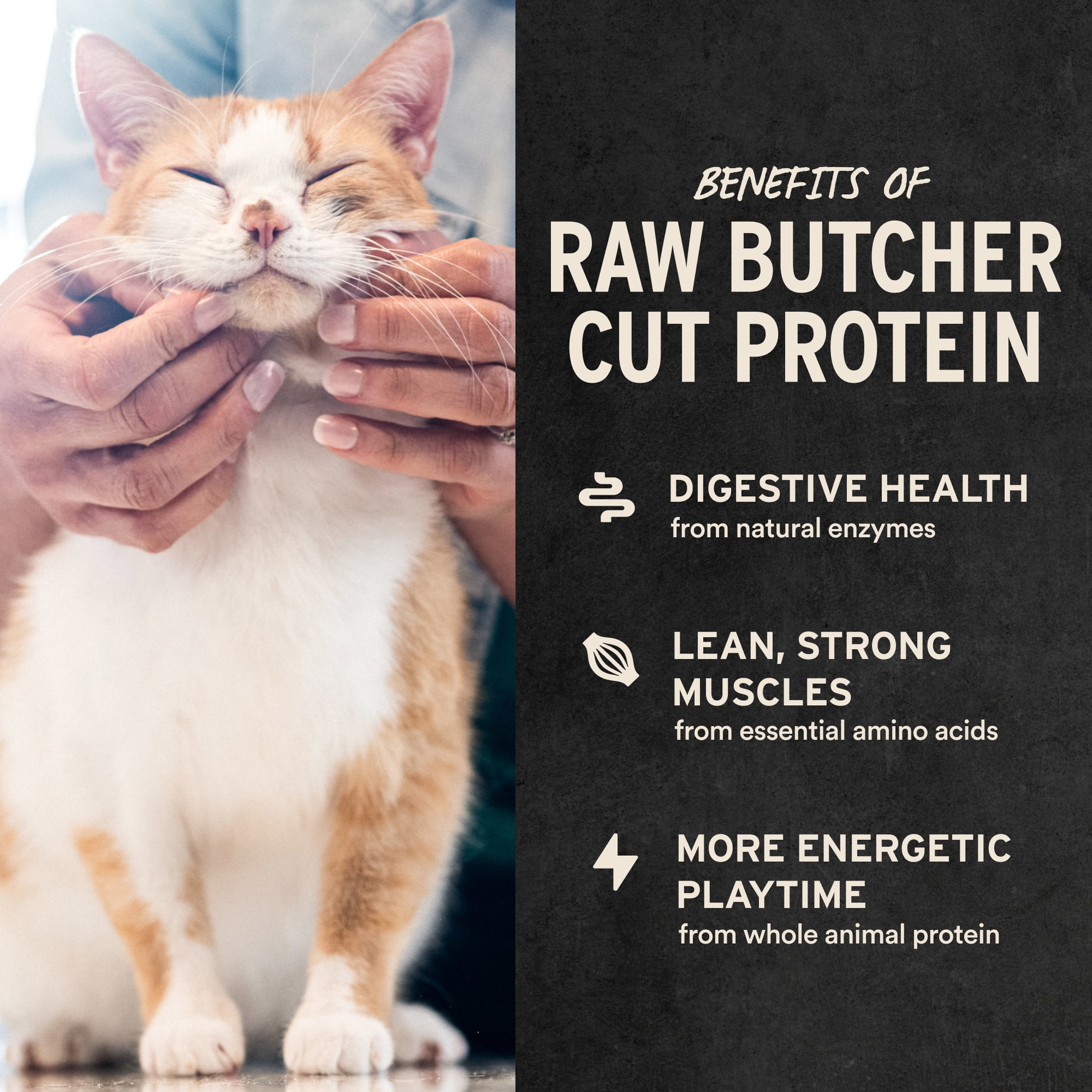 Chicken Breast Cat Treats Benefits of Raw Butcher Cut Protein