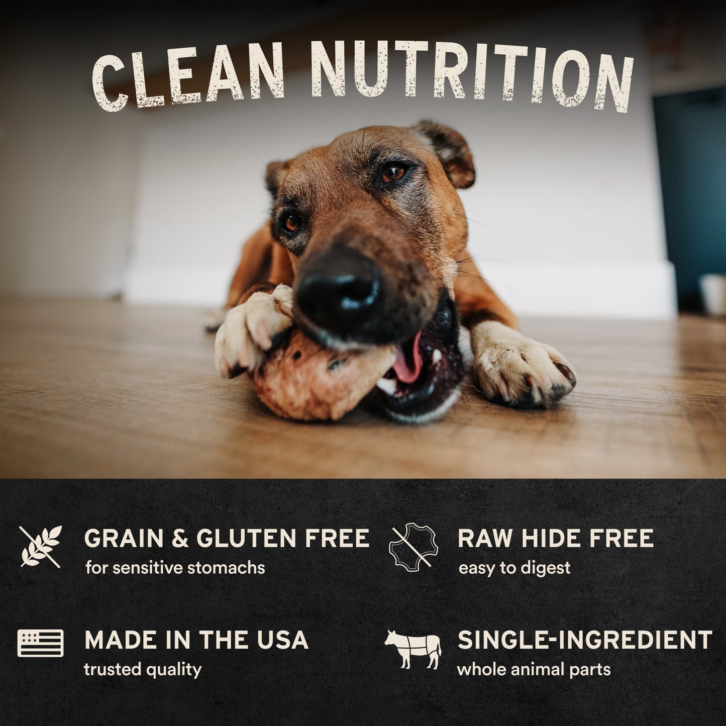 Freeze-Dried Pig Snouts Dog Snacks