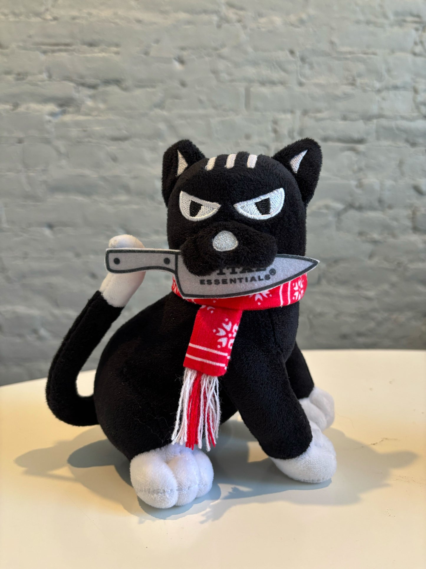 Kitty On The Counter